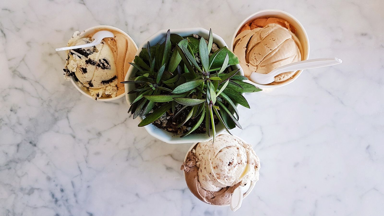 Chè thái sầu riêng