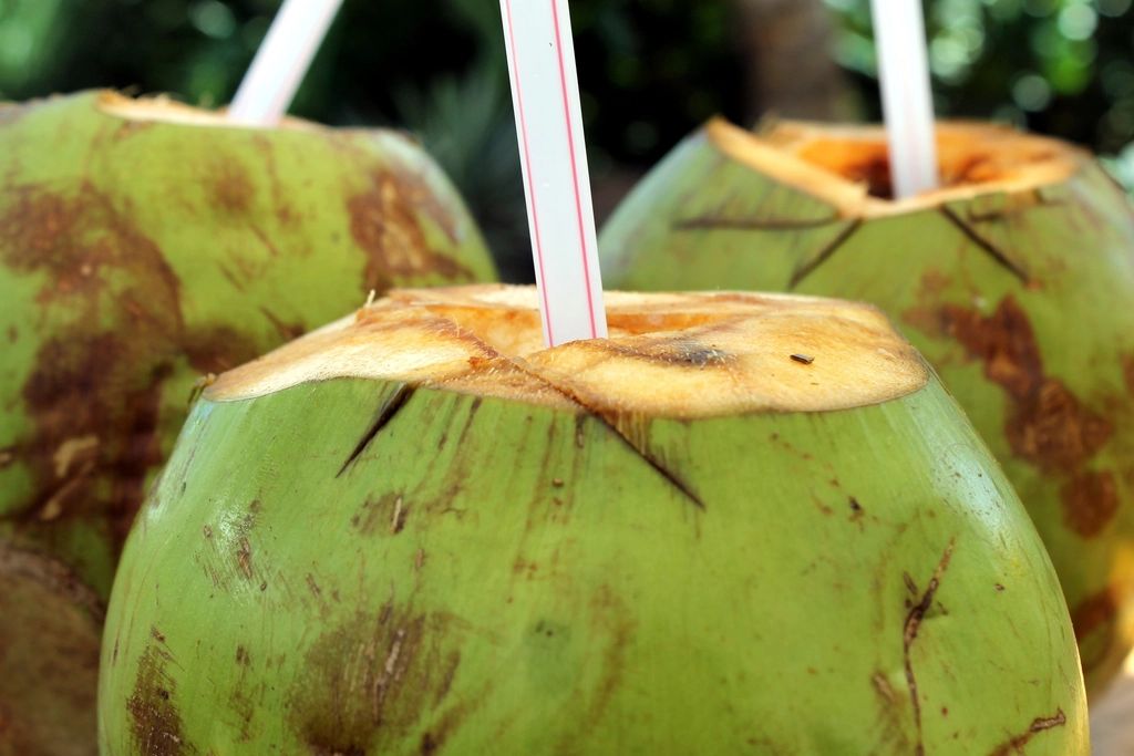 Nước bí đao la hán